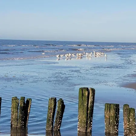 Daire In Bergen Near North Sea Beach, Cleaning Included Bergen aan Zee